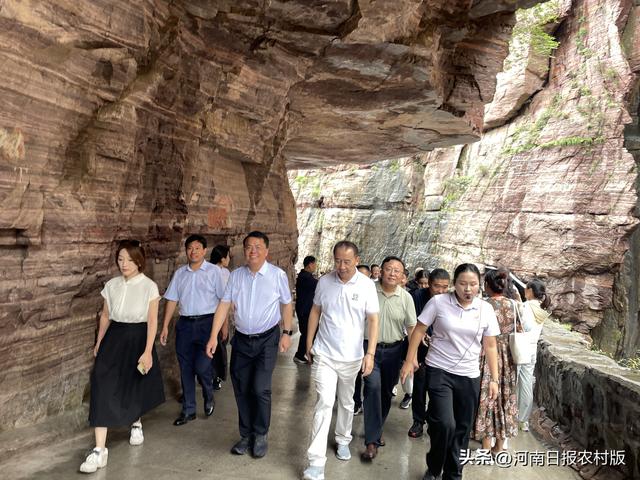 光影记忆与文旅新篇的交响，《举起手来》主创20年后重聚新乡南太行