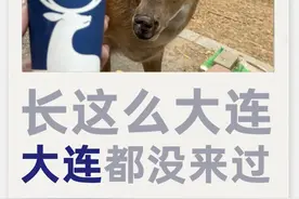 “到点下班，天津地义”，城市谐音梗，city不city？图片