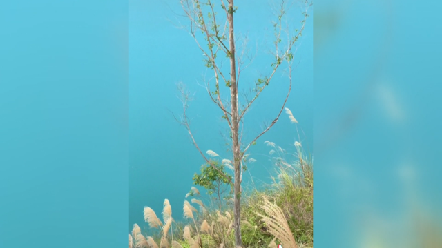 钦州一处废弃矿坑走红，当地政府公告：严禁进入