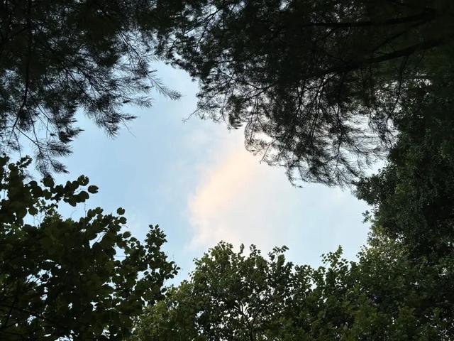 偶尔觉得，和我谈恋爱真是对方赚到了。