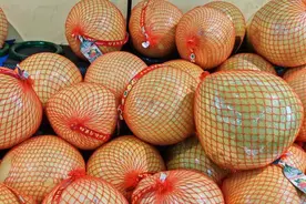 又是一年“蜜柚季”！怎么挑柚，专家有妙招图片