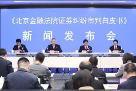 北京金融法院发布白皮书：证券纠纷多由虚假陈述引发图片