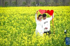 假日与花“共舞”图片