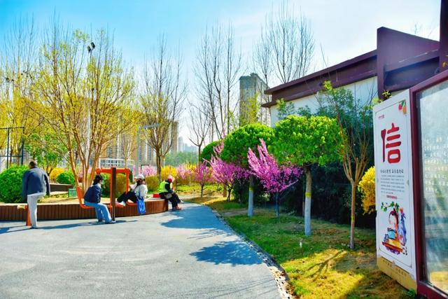 春色满城！定州藏不住的温柔与浪漫