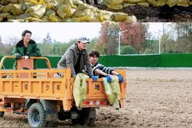 江苏卫视《种地吧》第二季今晚开播  “十个勤天”回归后陡门图片