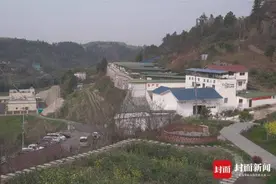 国内第3例多基因编辑猪肾成功移植人体 供体猪是如何“养成”的？｜科技有狠活图片