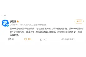 支付宝回应服务异常：已修复，不影响资金安全图片
