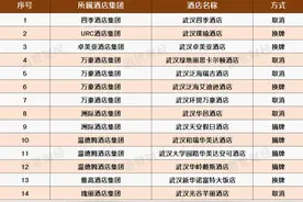 中部“老大”城市，终于告别高奢酒店荒漠丨2025全国市场扫描②图片