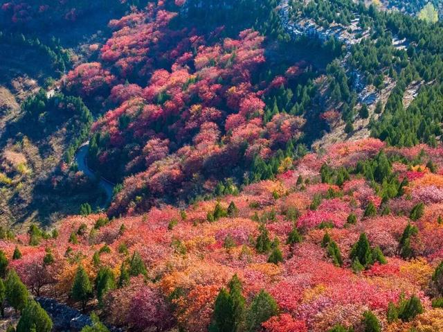 深耕金秋文旅资源，沂水秋季旅游市场热度攀升