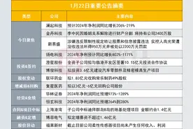 全年净利同比预增最高超200%！800亿AI细分芯片龙头发布2024年业绩预告|盘后公告集锦图片