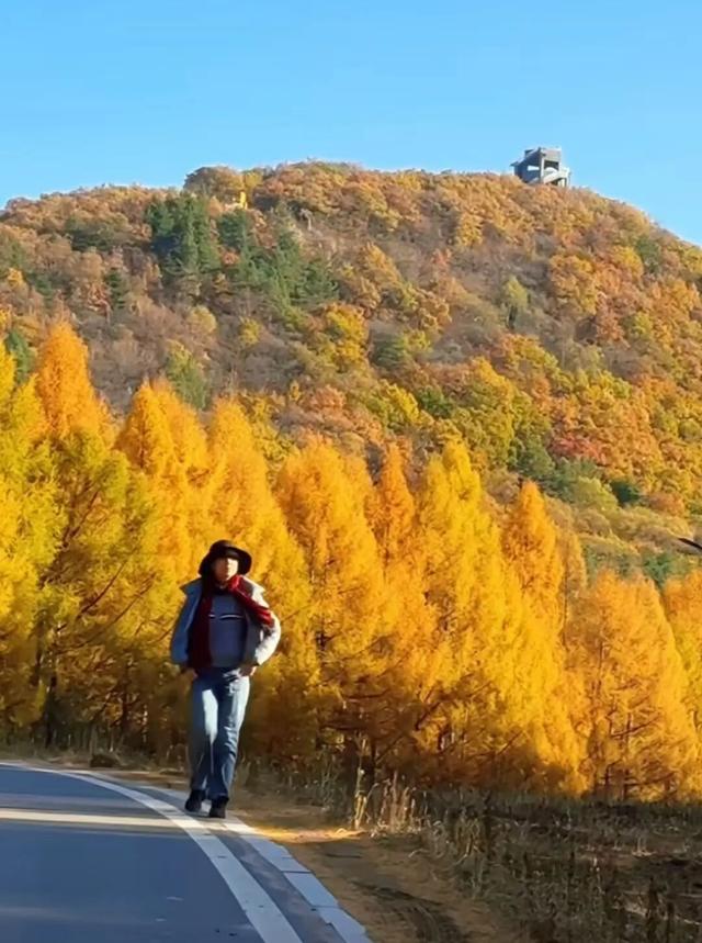 看，延吉秋景深藏诗意！