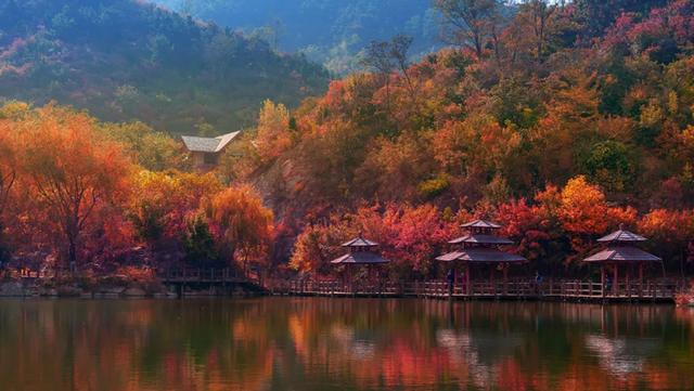 一年四季 泉在济南 |因泉而兴，因水而灵！济南这座城，是山东私藏的“后花园”