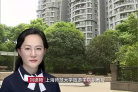 民宿变“民诉” “住改商”困局如何破？图片