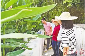 坚决整治群众身边的腐败和不正之风图片