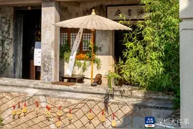 一周最龙华| 强推！四条线路，总有一个适合你！图片