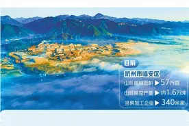 杭州市临安区延伸山核桃产业链条 土特产借势火出圈图片