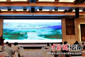 嵩明举办“旅居云南·入昆第一站”招商推介会图片