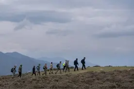 熊猫树上打哈欠 黑熊抓痕好清晰！川陕甘三省联合巡护直击丨封面头条图片