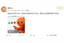 淘宝：已支持支付宝、微信支付等多种支付方式图片