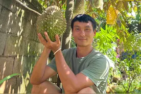 云南小伙成功试种金枕榴莲，当事人：5年前花60元买的苗，计划明年投5万元全职种植图片