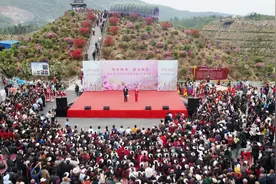 咸宁崇阳：“一朵花”扮靓乡村振兴“新图景”图片