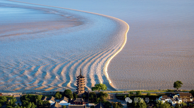 长三角文博会｜全球首个“古镇+”跨界融合展示平台构建