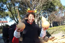 又一个“王”，诞生了！图片