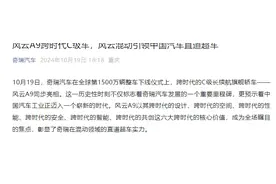 奇瑞C级车风云A9亮相图片