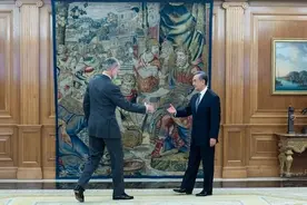 西班牙国王费利佩六世会见王毅图片