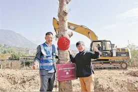 十棵非洲"生命之树"来厦扎根 迈出规模化种植生产第一步图片