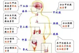 内分泌失调，身体也会出问题！这4点你做到没？图片