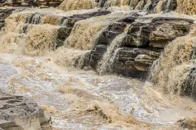 从被牺牲到被污名：明清近代淮北的下降螺旋图片