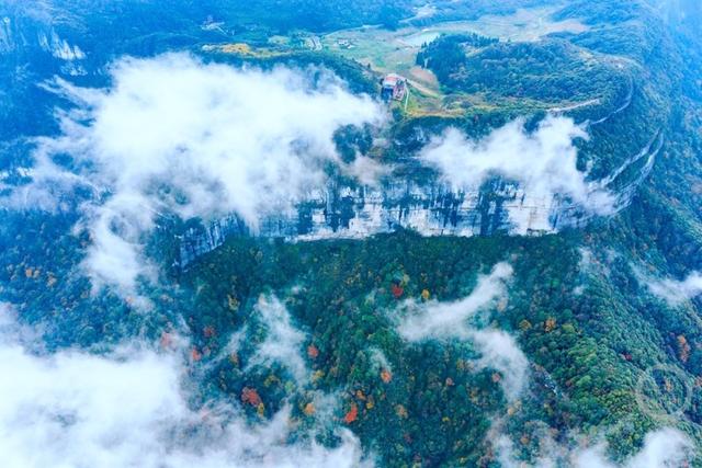 冬染金佛山 彩林美如画