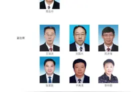 陈雨菲，有新身份！图片