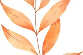 【弘扬教育家精神】2024年学校最美教师曾凡琳：四季耕耘育桃李 三尺讲台绽芳华图片