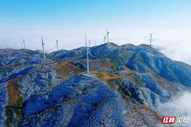 【每日一图@湖南】雾凇挂枝，流云绕风车！桂东万洋山冬景如画