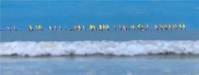 强推！3月宁德赏花自驾线！被花海包围的山海，震撼的颜值巅峰！