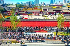 刚刚，沈阳故宫最新发布！免费门票！领取方式→图片
