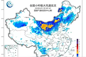 受大风影响，成都两场多趟航班取消！图片