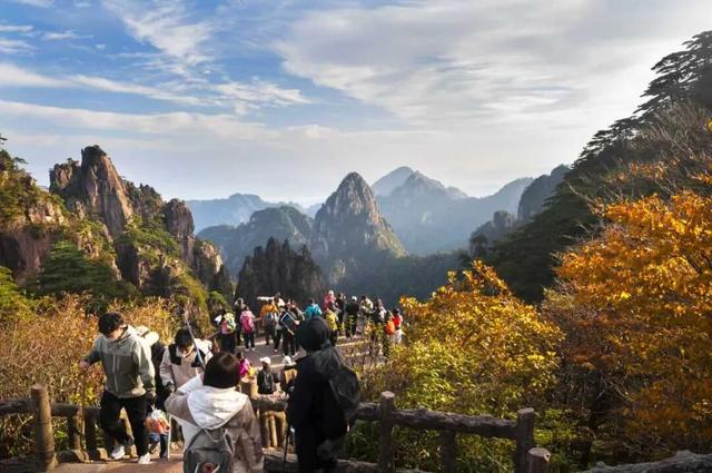 出片率100%！黄山风景区进入最佳赏秋期