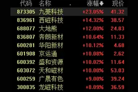 稀土永磁板块持续拉升，盛和资源等多股涨停，九菱科技大涨23%图片