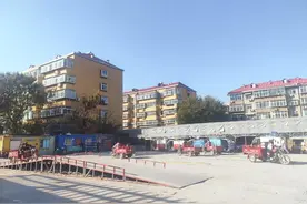 济南部分驾校“老头乐”驾考排到12月下旬，支持自学直考图片
