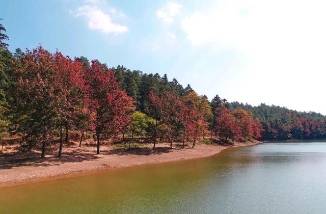 余杭初冬藏不住！这些秘境绝美~
