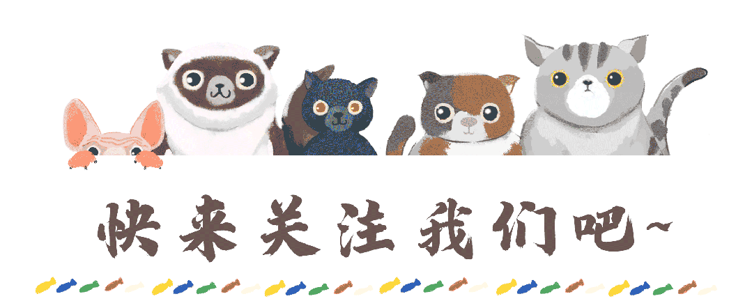 漫步碑林|从晨风到星光，在碑林邂逅夏日“小确幸”