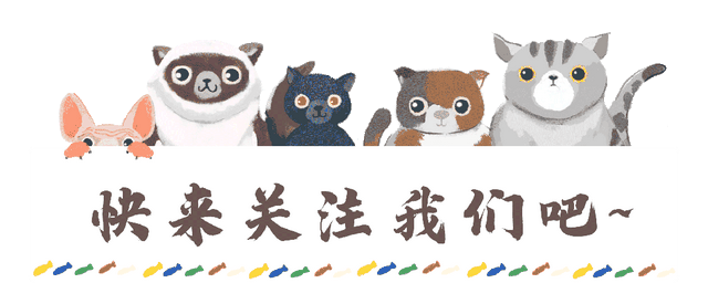 地铁直达！超好逛！西安地铁游图鉴来了！