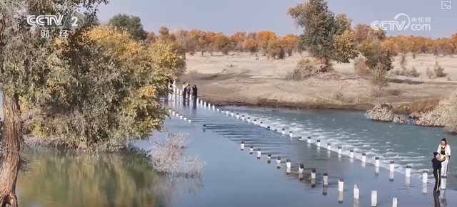 “斑斓秋色+新潮玩法”点燃赏秋游新热力 文旅新消费活力十足