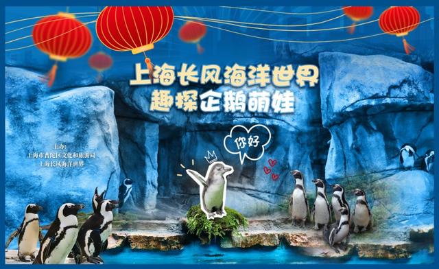 2026“新年第一游”去哪儿？从普陀出发，超全攻略锁定假期精彩！