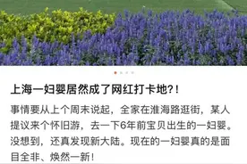 拍照的网红比孕妇还多！上海一妇婴居然以这种方式火了！医院保安看了都直挠头！图片