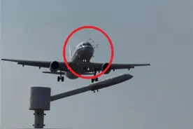 航班降落时撞到鸟群：机头可见清晰血迹图片