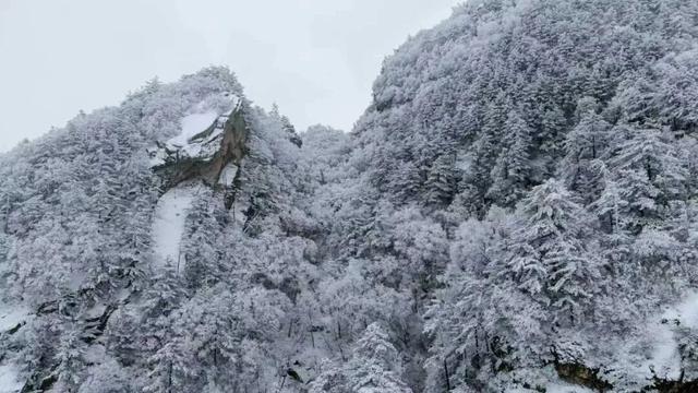 白云山今日开园！邀你共赏神仙雪景
